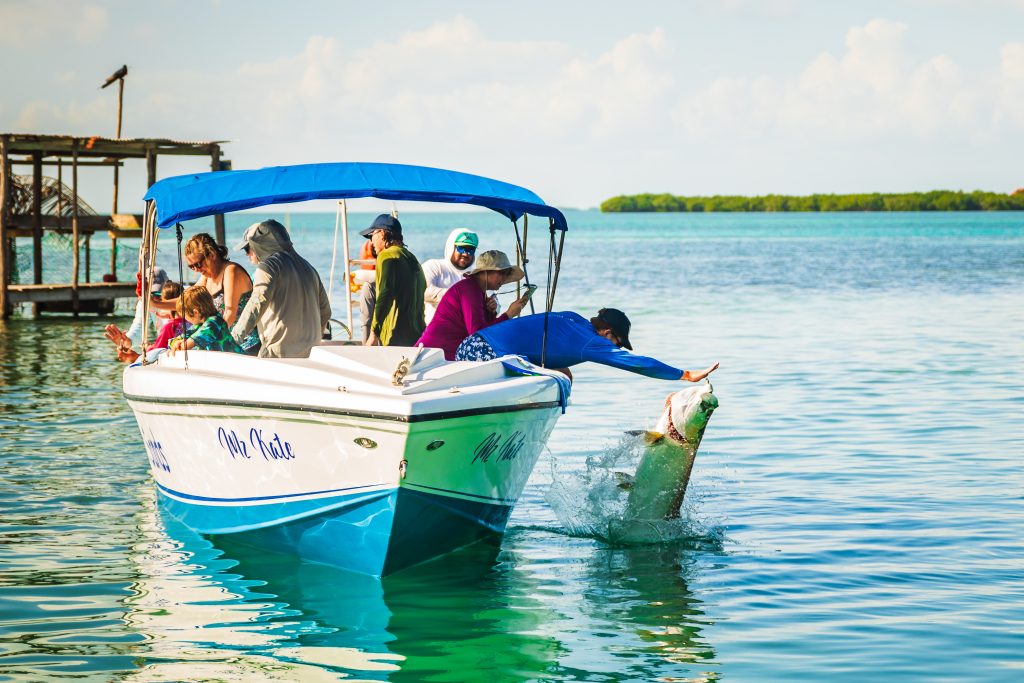 Discover the Best Things to Do in Caye Caulker, Belize