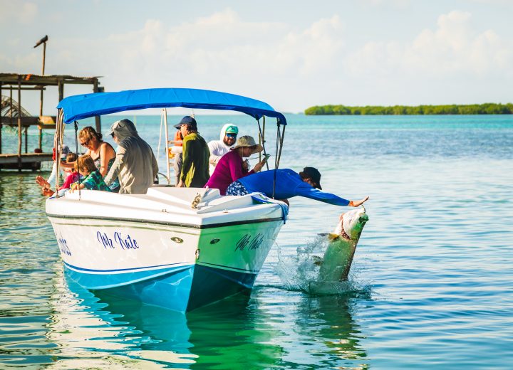 Discover the Best Things to Do in Caye Caulker, Belize